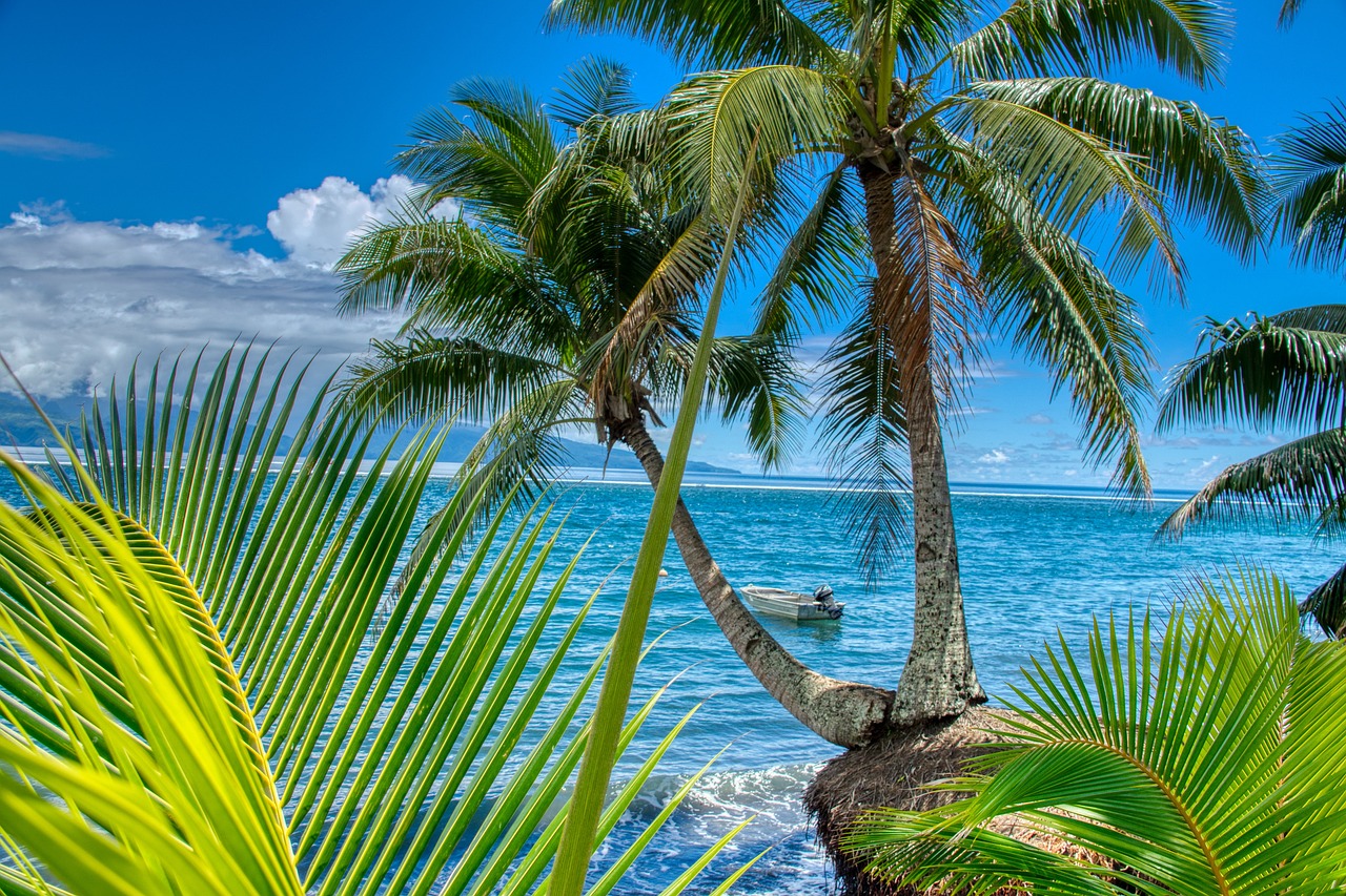 Destination_paradisiaque_:_planifiez_votre_voyage_de_noces_à_Tahiti